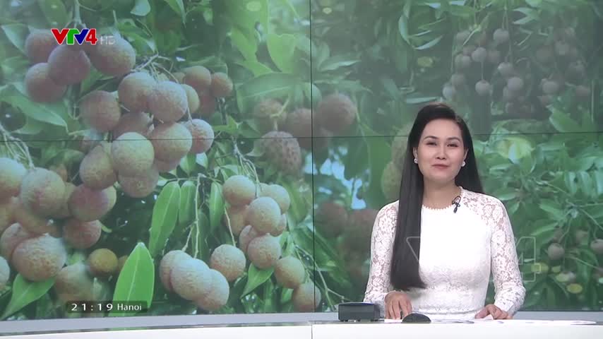 Vải thiều Việt Nam chinh phục thị trường Pháp