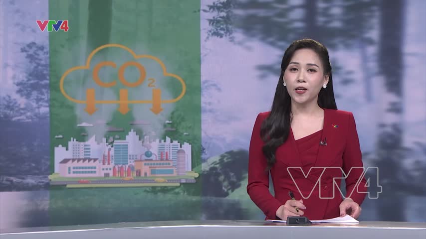 Tiềm năng tín chỉ carbon