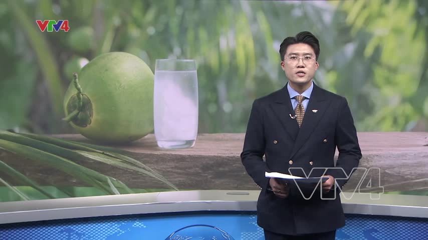 Thị trường dừa tươi 