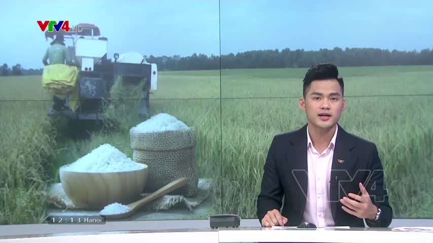 Thị trường gạo thế giới sôi động trong tuần qua