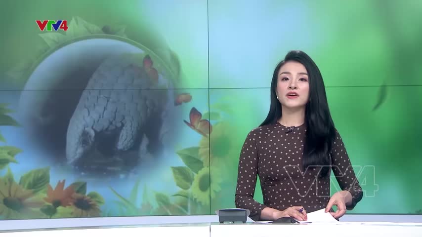 Khát vọng bảo tồn động vật hoang dã