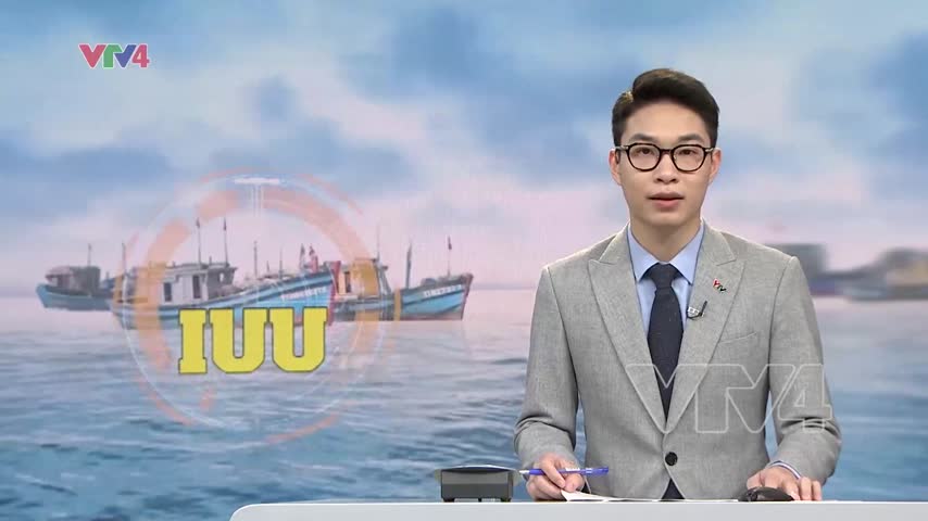 Tiếp tục nỗ lực gỡ 