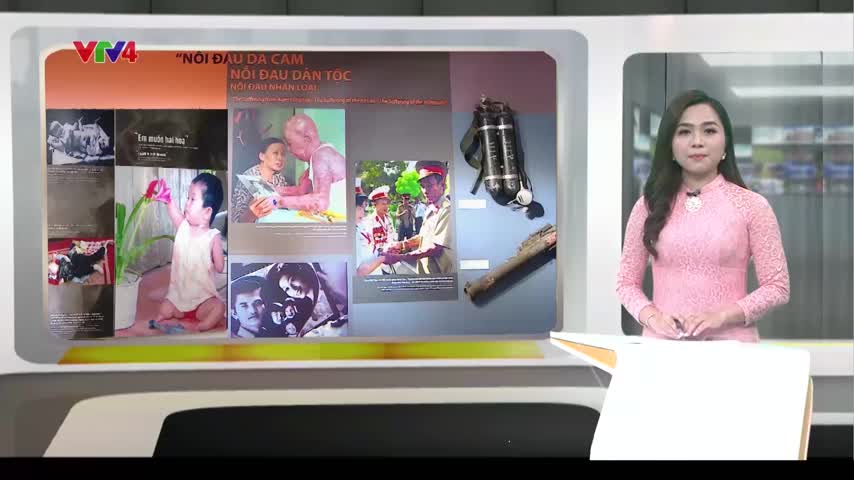 Triển lãm “Thảm họa da cam/dioxin - 60 năm nhìn lại”