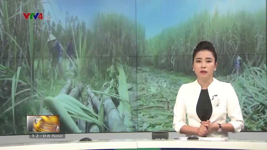 Cơ giới hóa sản xuất để nâng sức cạnh tranh
