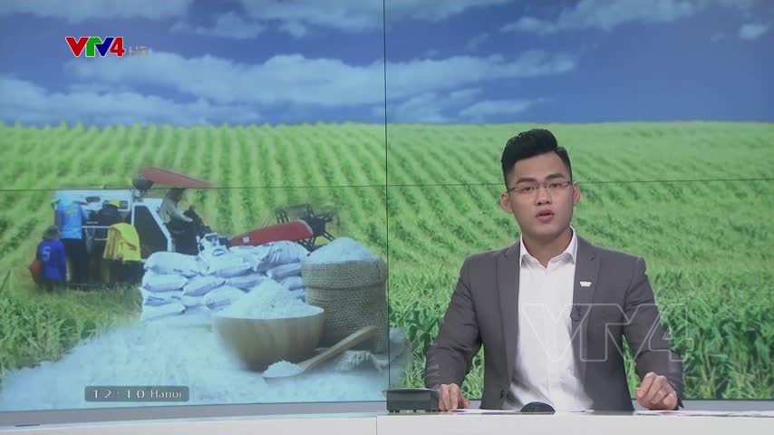Thủ tướng chỉ đạo tháo gỡ khó khăn xuất khẩu gạo