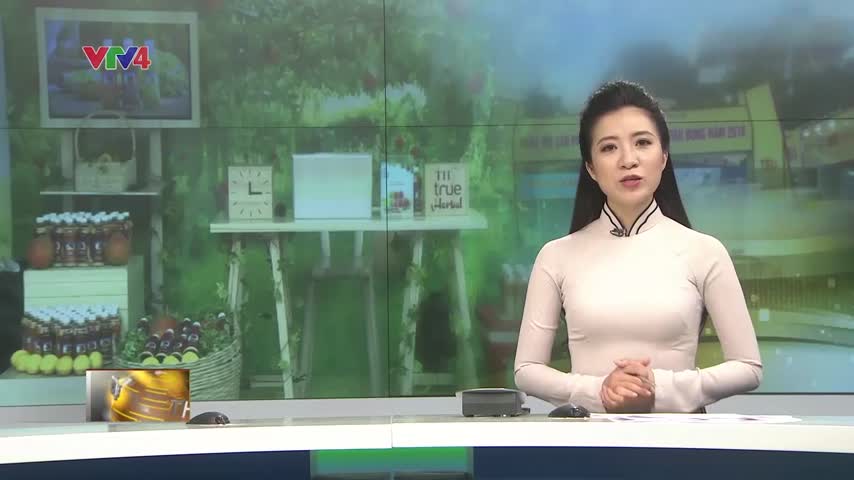 Ngày hôi hàng hóa, sản phẩm vì người tiêu dùng