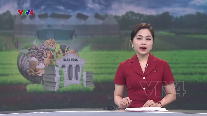 Vay không thế chấp tới 5 tỷ đồng cho nông nghiệp