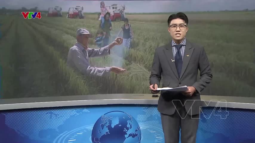 Chương trình VTV đặc biệt “Hạt giống hạnh phúc”