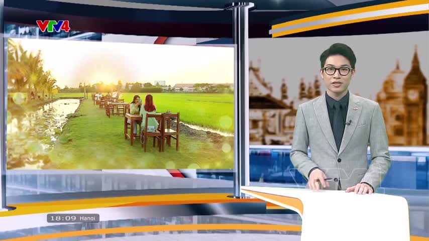 Ngắm hoàng hôn trên ruộng lúa