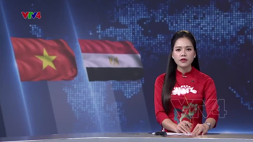 Chủ tịch nước thăm cấp nhà nước Ai Cập