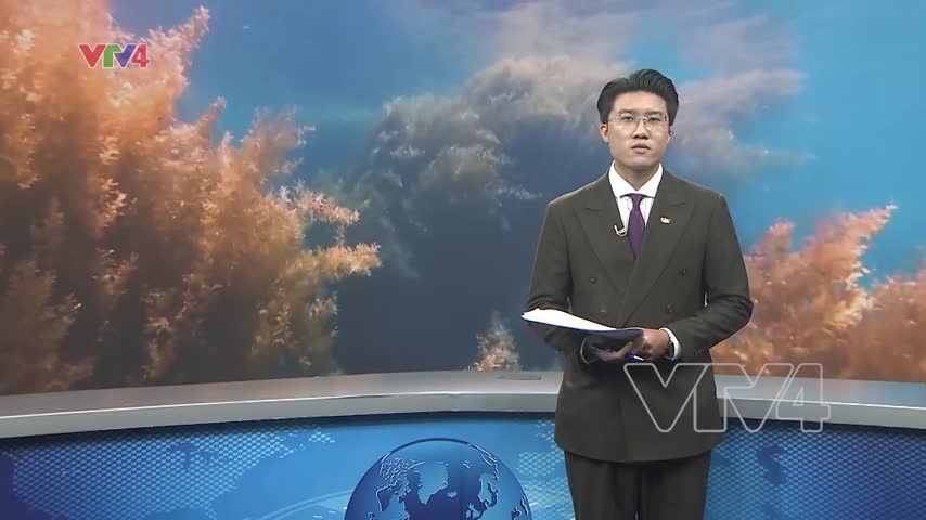 Mùa rong mơ hút khách du lịch