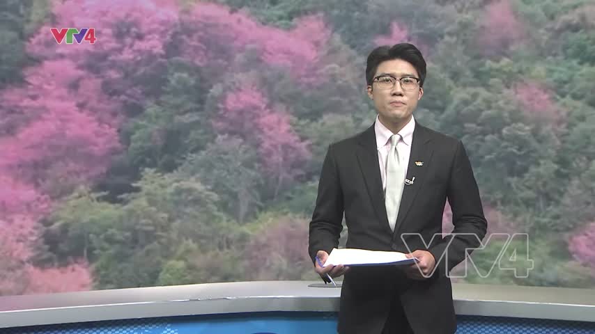 Rực rỡ sắc hoa Tớ Dày 