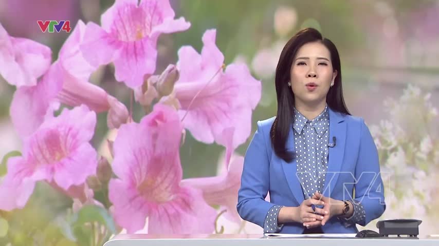 Khúc giao mùa của những sắc hoa