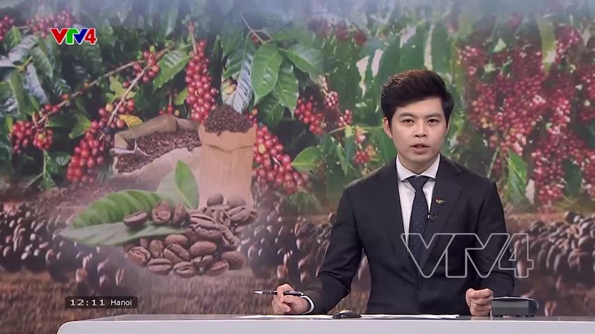 Triển vọng xuất khẩu cà phê nửa cuối năm