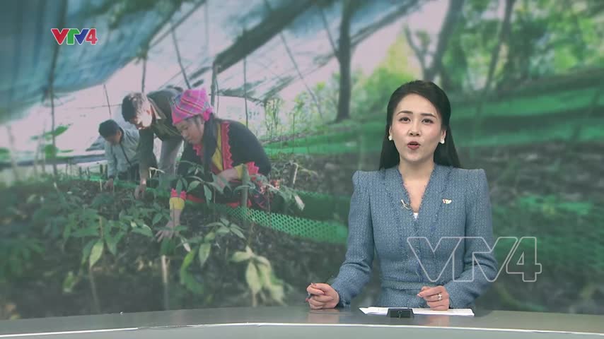 Lai Châu hướng đến phát triển xanh và bền vững