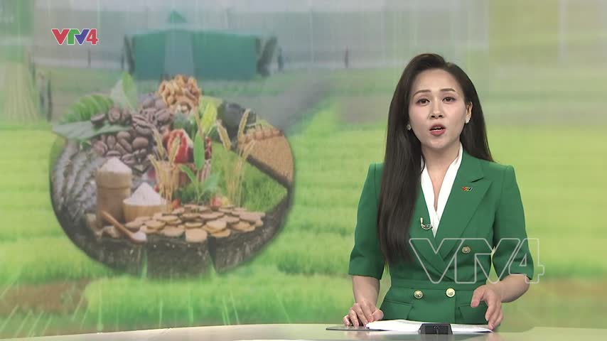 Nông nghiệp xuất siêu trên 8,4 tỷ USD