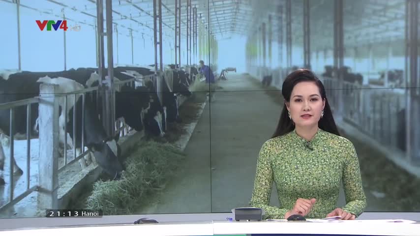 Tăng cường liên kết để nông nghiệp vượt khó