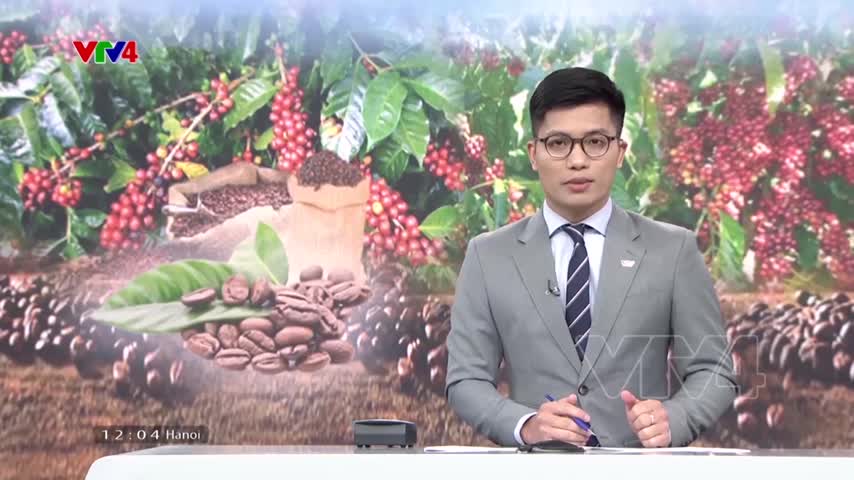 Phải thay đổi để nâng giá trị cà phê