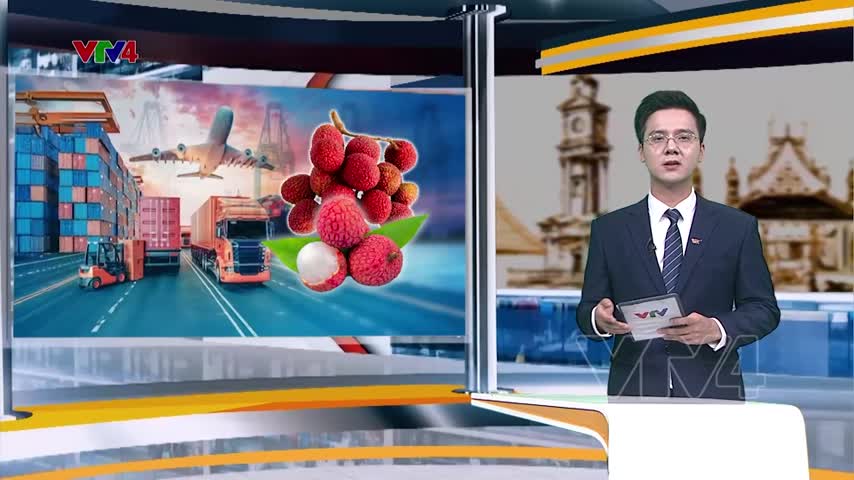 Vải thiều Việt Nam vào thị trường Hoa Kỳ
