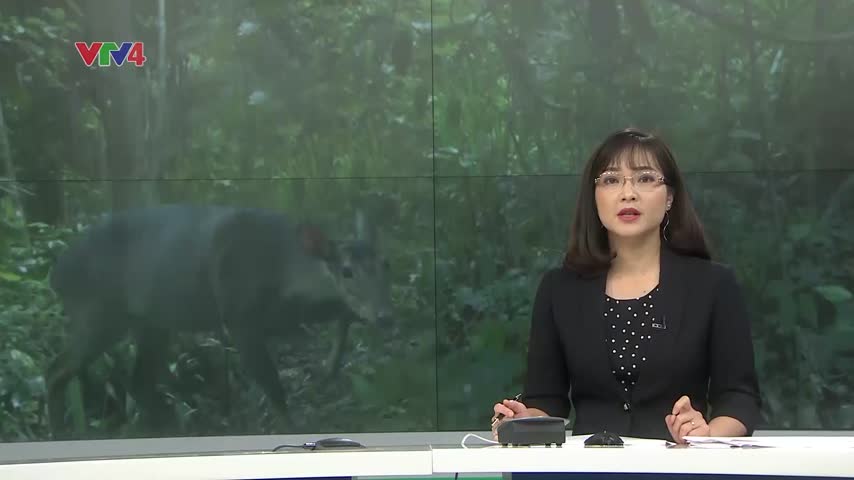 Báo động tình trạng săn bắt động vật hoang dã