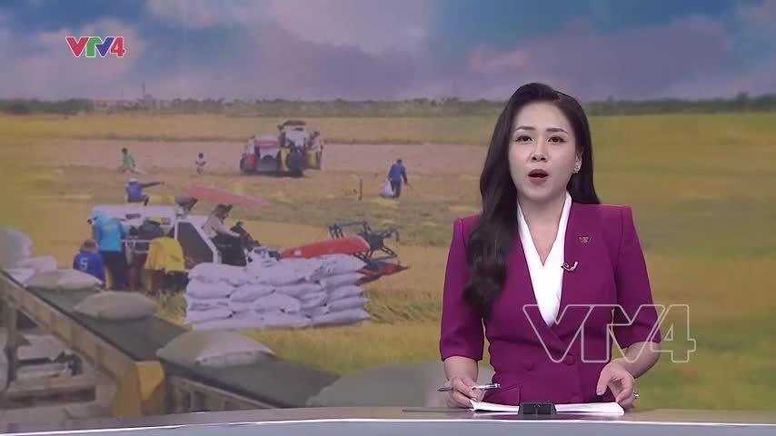 Việt Nam xuất khẩu gạo thứ 2 thế giới