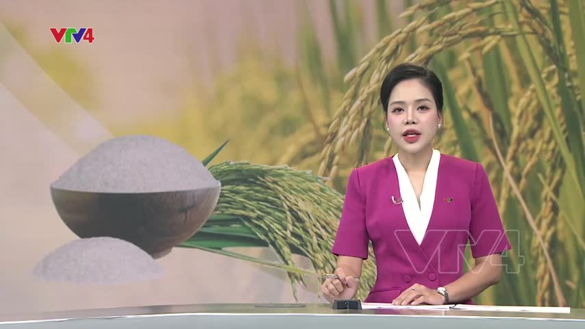 Ngành lúa gạo chuyển từ lượng sang chất