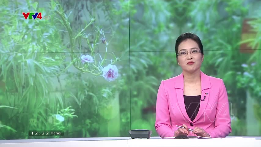 Những bức tường xanh ở Hà Nội