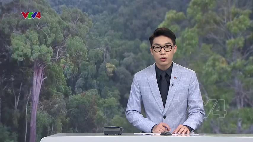 Bảo vệ rừng Pơ Mu nghìn năm tuổi