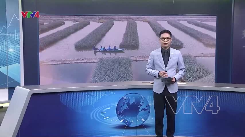 Làng du lịch cộng đồng khóm Cầu Đúc