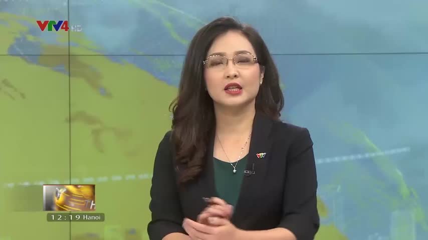 Báu vật rừng lim cổ thụ Tây Giang