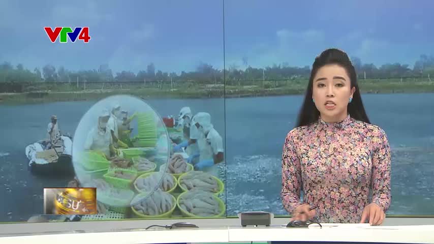 Mỹ áp mức thuế cao phi lý với cá tra của Việt Nam
