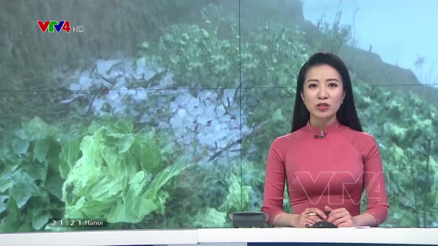Mưa đá gây thiệt hại nặng