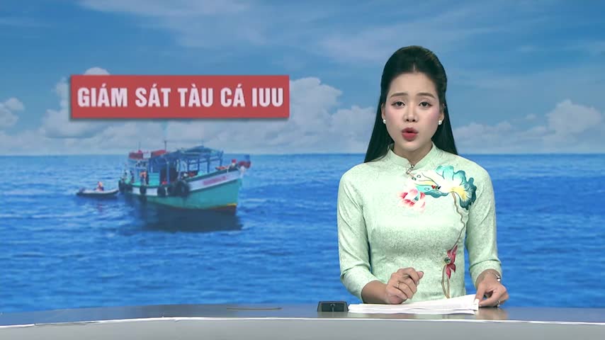 Chuyển biến tích cực trong giám sát tàu cá IUU