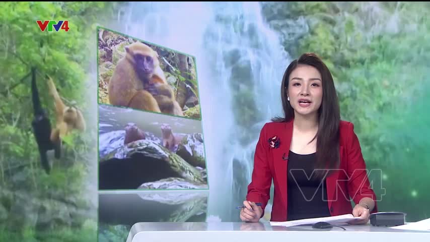 Du lịch sinh thái gắn với bảo tồn thiên nhiên