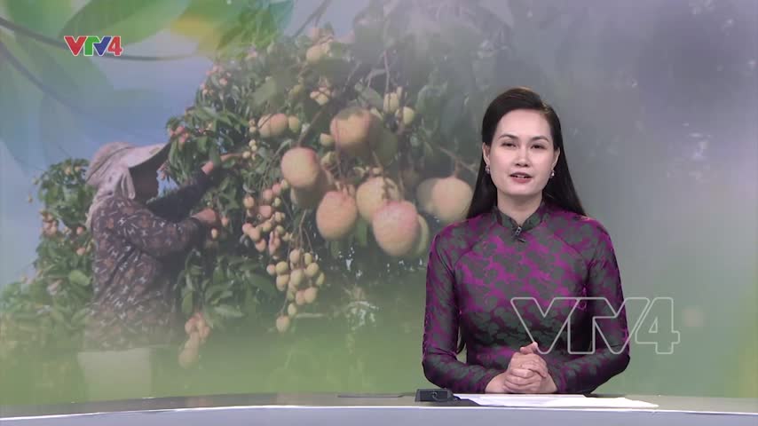 Người gác vườn - những nông dân Global G.A.P