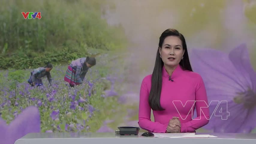 Cất cánh nhờ cát cánh