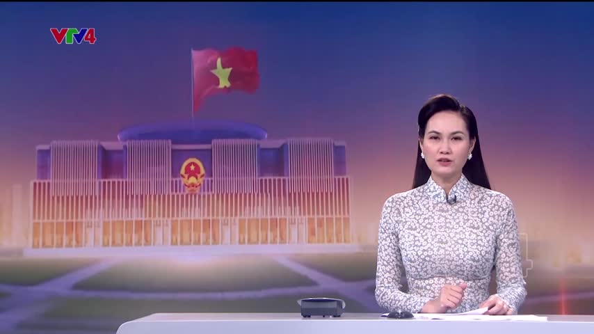Sửa luật để khắc phục bất cập trong đấu thầu