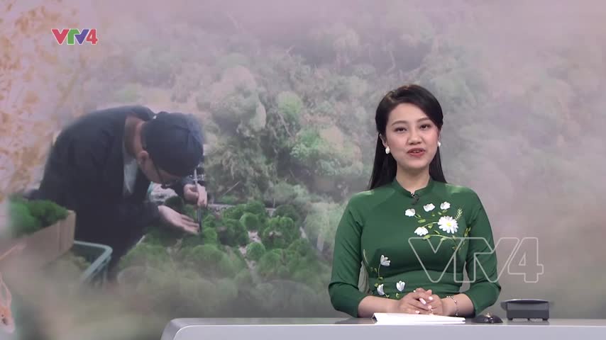 Chàng trai lan tỏa lối sống xanh với tranh từ rêu