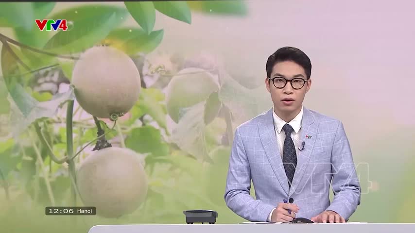Phát triển cây ăn quả chủ lực theo hướng bài bản