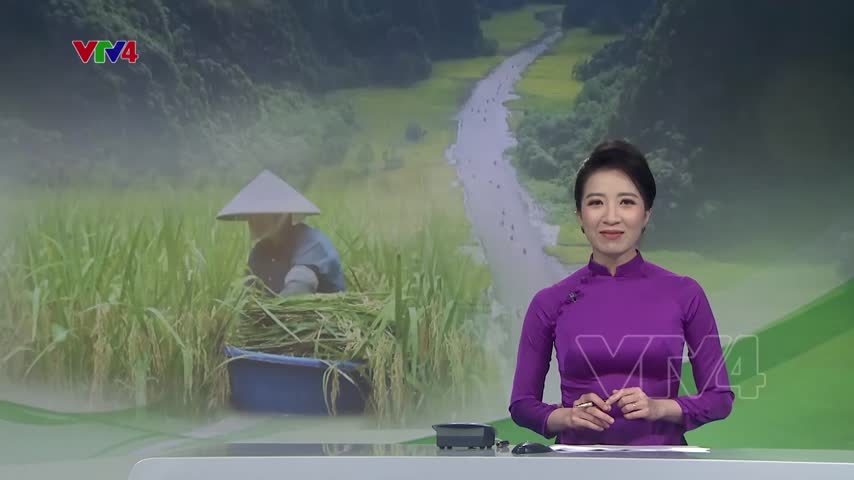 Niềm vui ngày mùa