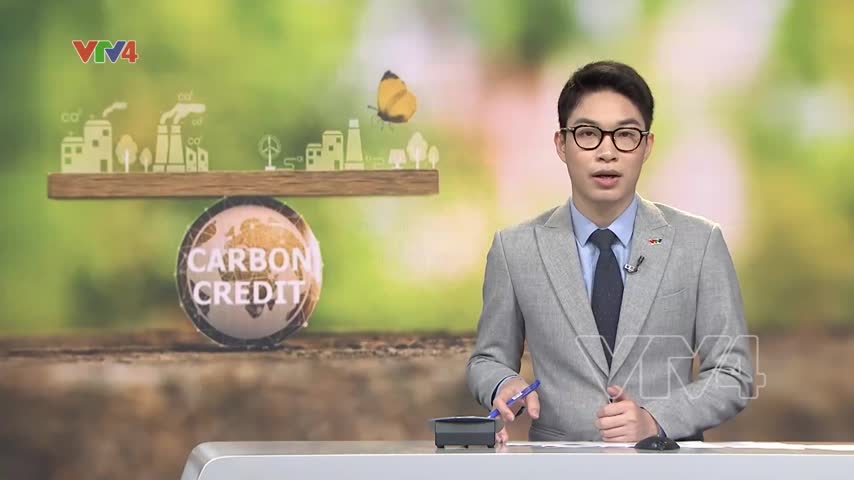 Tiềm năng tín chỉ Carbon của Việt Nam
