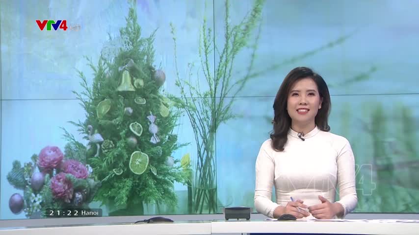 Thị trường cây thông tươi thu hút khách dịp Giáng sinh