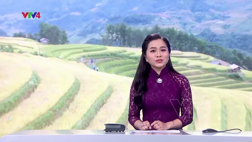 Ra mắt Clip Việt Nam đi để yêu – Trải nghiệm trọn vẹn