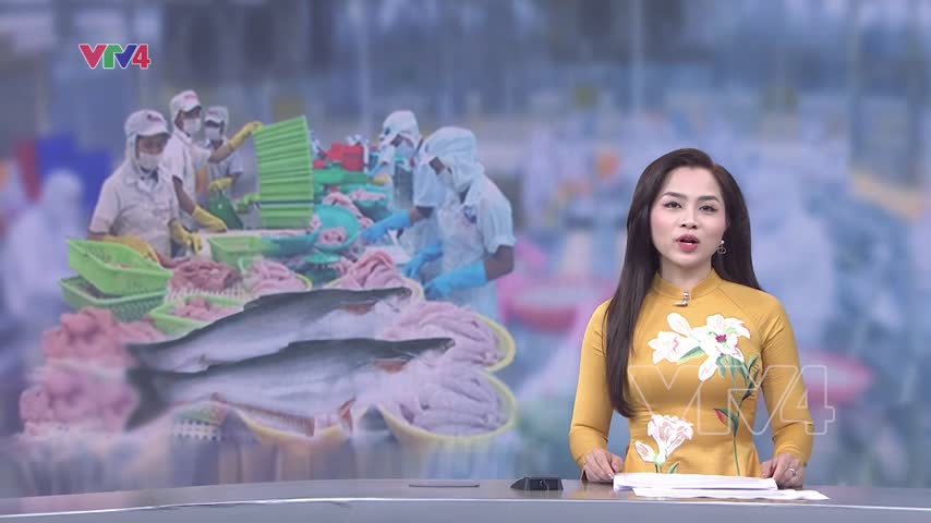 Xuất khẩu cá tra tăng mạnh