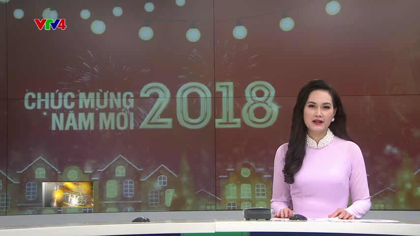 Những hoạt động tiêu biểu của kiều bào năm 2017 tại Việt Nam