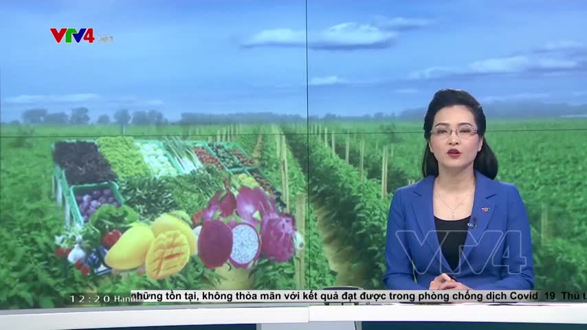 Giải pháp đẩy mạnh xuất khẩu nông sản