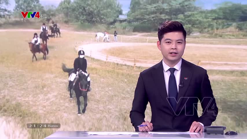 Học cưỡi ngựa theo phong cách châu Âu