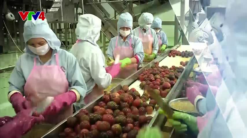 Focus: Khơi dậy tiềm năng nông sản