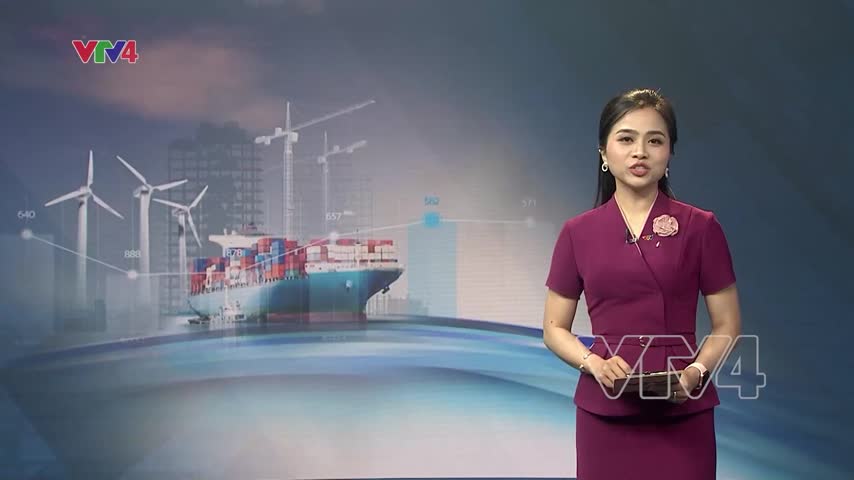 Khuyến nghị của các chuyên gia