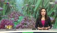 Bản tin tiếng Nga - 06/04/2018